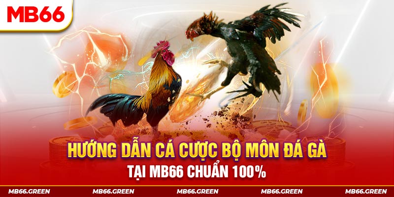 777win kết quả xổ số miền bắc ngày hôm nay