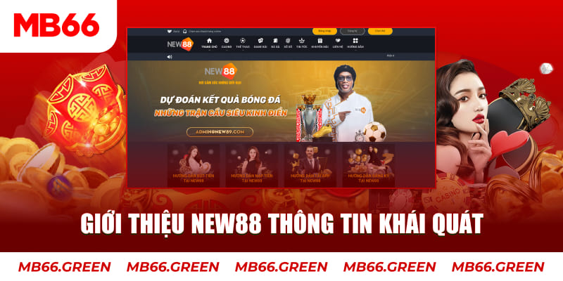 777win c1 gà chọi