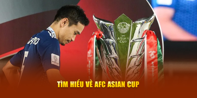 777win đăng nhập mậu binh