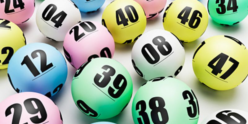 777win gà chọi c1 mới nhất