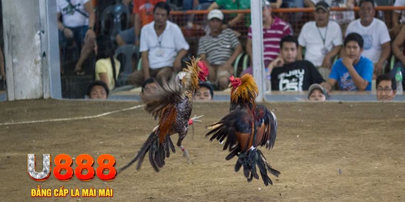 777win đăng nhập mậu binh khuyến mãi