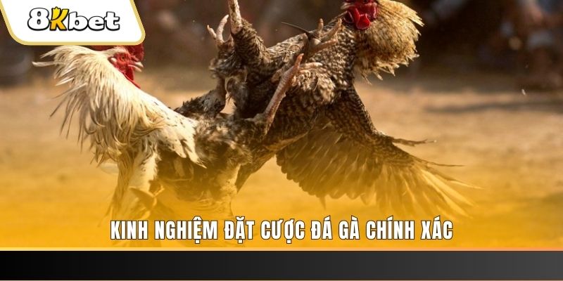777win xổ số thứ bảy hàng tuần