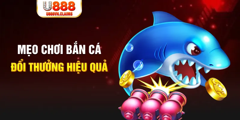 777win gà chọi cam ranh