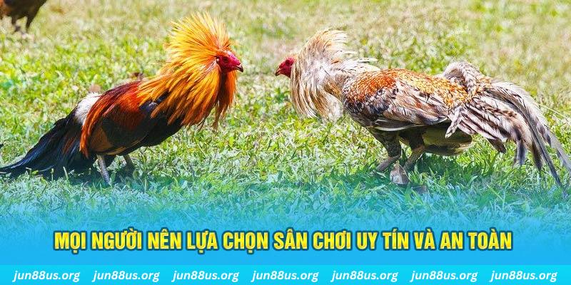 777win Cỡ bảy
