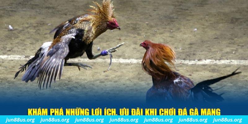777win đăng nhập liêng live