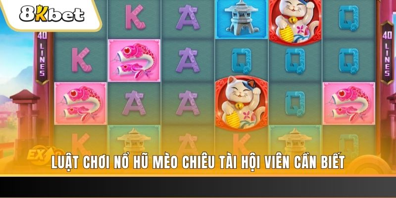 777win gà chọi cu cần
