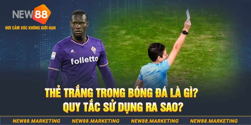 777win đăng nhập sòng bạc hôm nay