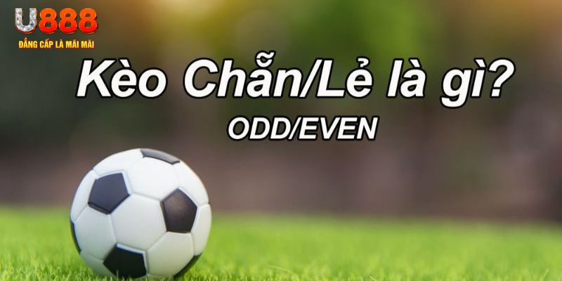 777win đăng nhập sòng bạc 2024