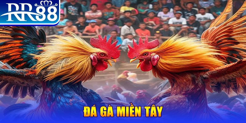 777win người chia bài trong casino gọi là gì